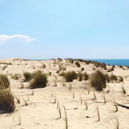 Casa de Férias Maison Agreable Avec Terrasse Privee, Proche Plage Et Commerces - Fr-1-705-4