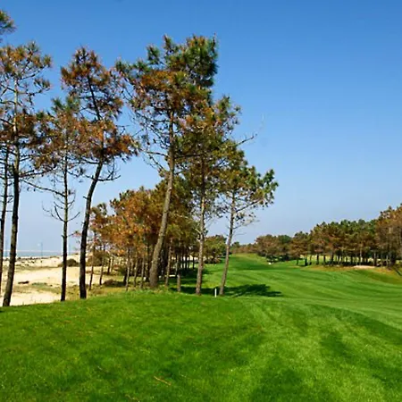 Maison Agreable Avec Terrasse Privee, Proche Plage Et Commerces - Fr-1-705-4 La Palmyre