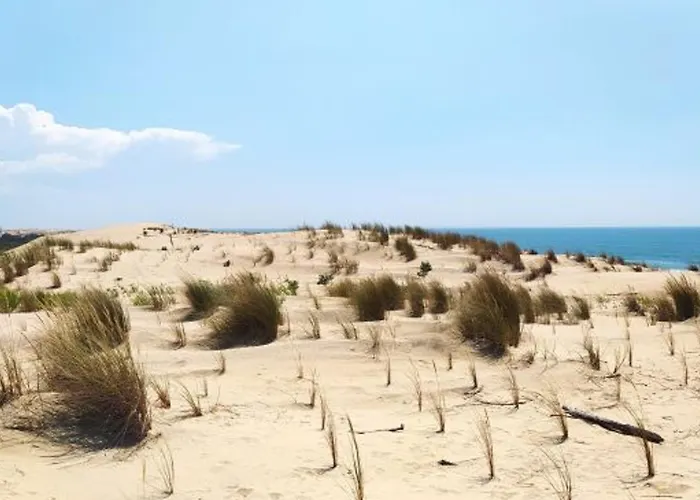 度假居 Maison Agreable Avec Terrasse Privee, Proche Et Commerces - Fr-1-705-4